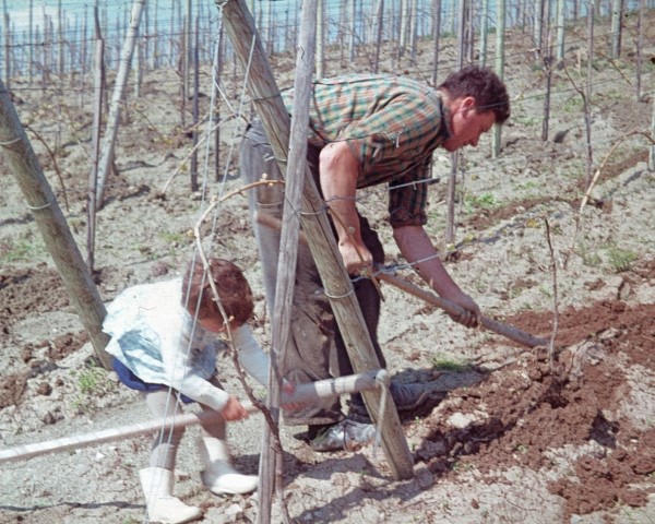 Weinberg